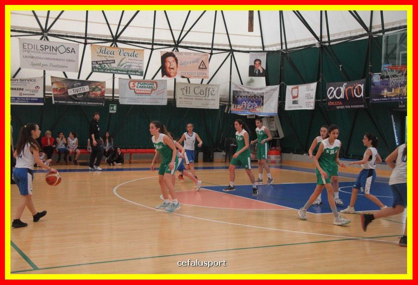 180420 picture 256_tn.jpg